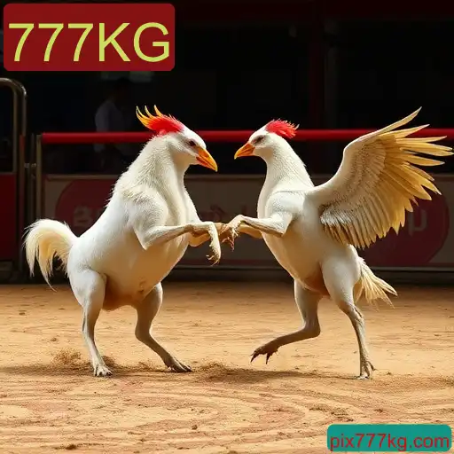 O Impacto do Sabong Online e a Relevância da Plataforma 777KG